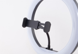 Комплект освещения Rekam RL-20 LED RGB, 71 LED, 20см [2302000036]