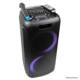 Акустическая портативная колонка Nakatomi GS-50 - 90W, Караоке с беспр. микр., BTFMUSBSDLEDДУ