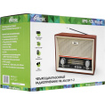Радиоприёмник портативный/ RITMIX RPR-102 Бук
