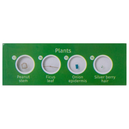 Набор микропрепаратов LEVENHUK LabZZ CP24, 6 предметов [72870]