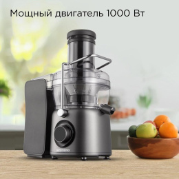 Соковыжималка центробежная Redmond J1402 1000Вт рез.сок.:1000мл. серый