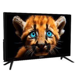 24" Телевизор LED HD Topdevice TDTV24BS01H_BK/HD/VA/Smart WildRed/1-8Gb/Black