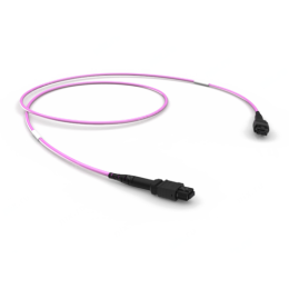 PATCHWORK Оптическая соединительная сборка 12 x 50/125 OM4, MPO 12 f/MPO 12 f, тип B, LSZH, LL, 1 м (86214200)