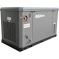 Генератор газовый Evoline GNG 19000 E GNG19000E