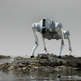 Бионический четырехопорный робот бренда Unitree модели Go2 версии EDU Plus