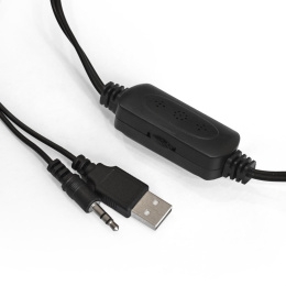 Акустическая система 2.0 ExeGate Disco 150 питание USB, 2х5Вт 10Вт RMS , 100-20000Гц, черный, Color Box EX287051RUS