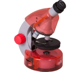 Набор Levenhuk LabZZ MV1 Orange: микроскоп и книга