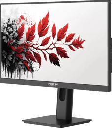 Монитор RDW Computers 27" RDW2701K черный IPS 5ms 16:9 HDMI M/M матовая 1000:1 300cd 178гр/178гр 1920x1080 120Hz VGA DP FHD RUS (2701K/F00B0120V2A1)