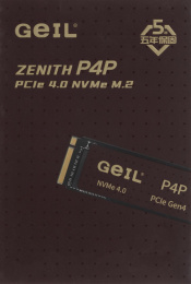 Накопитель SSD Geil PCIe 4.0 x4 512GB P4PDC23C512A P4P M.2 2280 0.46 DWPD