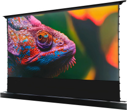 Экран Cactus FloorRising CS-PSFRCLR-221X125,  221х125 см, 16:9,  напольный черный