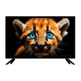 24" Телевизор LED HD Topdevice TDTV24BS01H_BK/HD/VA/Smart WildRed/1-8Gb/Black