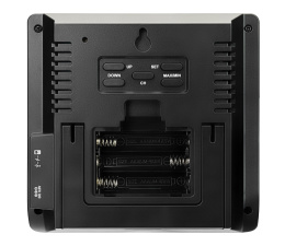 Метеостанция Levenhuk Wezzer PLUS LP40 78894