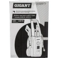Мойка высокого давления 1,6 кВт, 420 л/ч, Gigant GLU-05