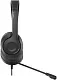 Наушники с микрофоном A4Tech Fstyler FH100U Stone Black (USB,шнур 2м, с регулятором громкости)