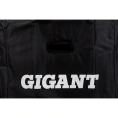 Телескопическая лестница Gigant 3.8м LT-01 1x13