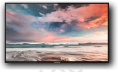 Профессиональный дисплей GoodView 55" AD display, 600cd/m2, 16/7, FHD M55SAH