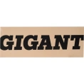 Электрический конвектор 2,5 кВт Gigant GECS-2,5 MT