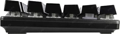 Клавиатура CANYON CND-SKB7-RU Dark Gray USB 104КЛ подсветка клавиш