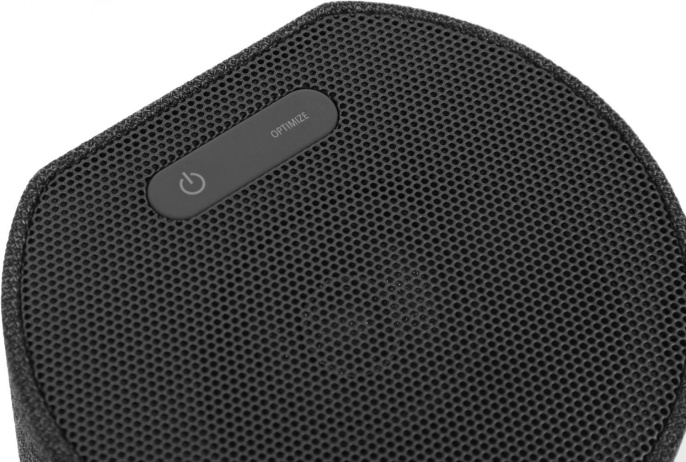 Тыловая колонка Sony SA-RS5, 2 колонки в комплекте , черный