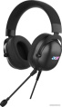 Наушники с микрофоном Acer AHW122 черный 2.1м мониторные USB оголовье ZL.HDSCC.01U