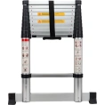 Телескопическая лестница Gigant 3.2м LT-01 1x11