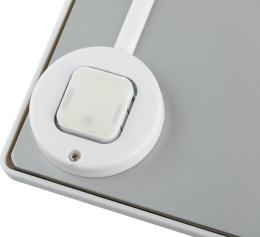 Весы напольные электронные Beurer PS160 макс.180кг белый