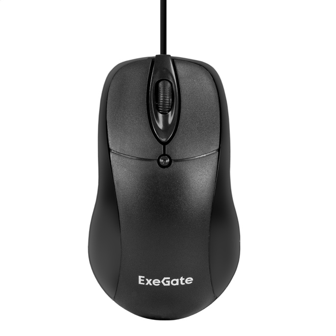 Мышь ExeGate Professional Standard B100L (USB, оптическая, 1000dpi, 3D, 3 кнопки и колесо прокрутки, длина кабеля 2м, черная, Color Box) EX298196RUS