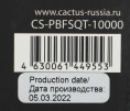 Внешний аккумулятор (Power Bank) Cactus CS-PBFSQT-10000,  10000мAч,  черный