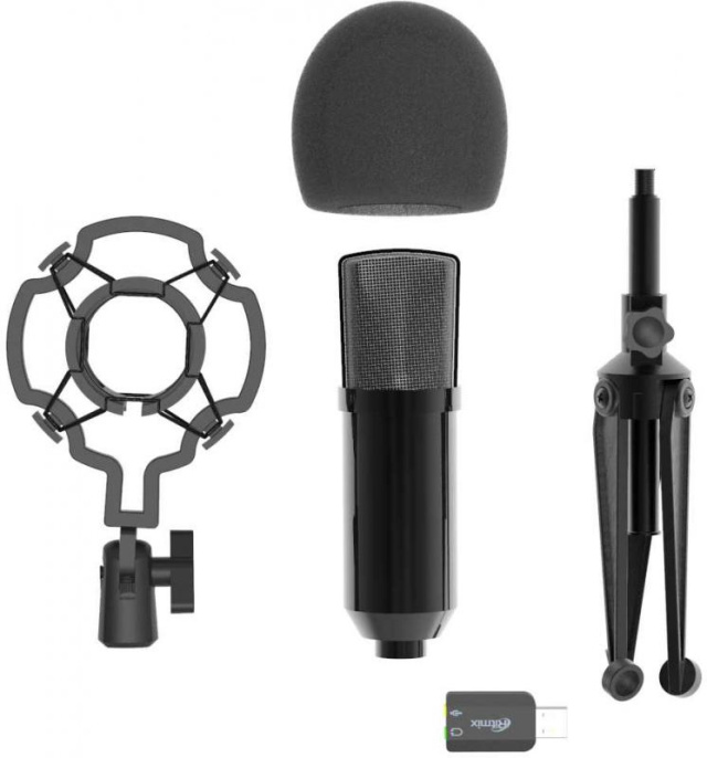 Микрофон Ritmix RDM-160, черный [80000132]