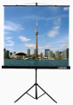Экран на треноге Lumien 111" 200x200см Eco View LEV-100103 1:1 напольный рулонный