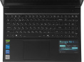 Ноутбук Thunderobot Range 16 Evo Core i5 13420H 16Gb SSD1Tb NVIDIA GeForce RTX5050 8Gb 16" IPS QHD 2560x1600 FreeDOS black WiFi BT Cam JT009P00KRU