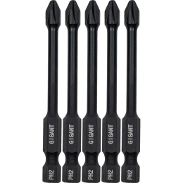 Торсионные биты PH2, 70 мм, 5 шт, S2 Gigant GBM TR5270