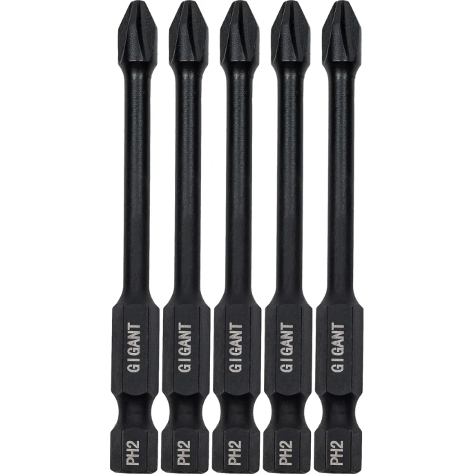 Торсионные биты PH2, 70 мм, 5 шт, S2 Gigant GBM TR5270