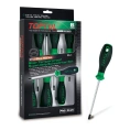 Набор отверток TOPTUL TORX с отверстием T10-T40 серии Pro-Plus, 6 предметов в картоне GFE-0603