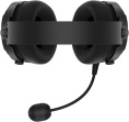 Гарнитура Acer OHR303,  для компьютера/мобильных устройств, мониторные,  Bluetooth/радио/3,5 мм, черный [zl.hdsee.009]