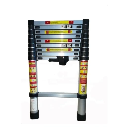 Телескопическая лестница SevenBerg QH-10 2,9 м.