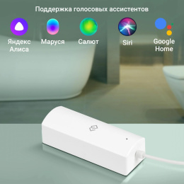 Датчик протечки воды Digma DiSense W1, белый [dsw1]