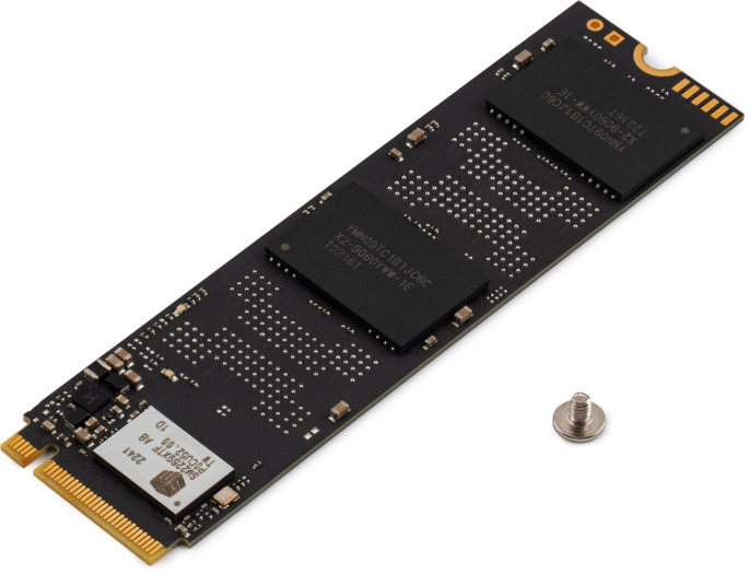 Накопитель SSD Digma PCIe 4.0 x4 1TB DGSM4001TS69T Meta S69 M.2 2280