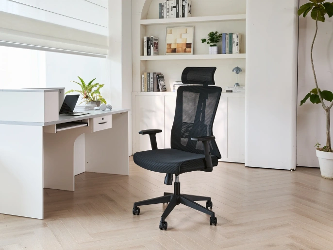 Кресло офисное компьютерное EVOLUTION ErgoLine 3 Black