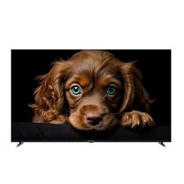 Topdevice 65" TDTV65CQ09U_BK {UHD/VA-QLED/Smart GTV/2-16Gb/BT/Black}