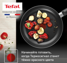 Сковорода Tefal Easy Plus 4237122 круглая 22см ручка несъемная без крышки черный 9100054094