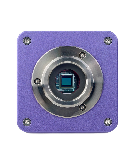 Микроскоп стереоскопический цифровой MAGUS Stereo D8T BASE