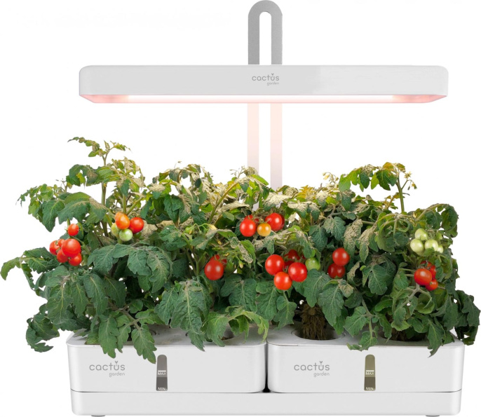 Гидропонная установка Cactus Garden 3л 20 белый (CS-LEDPOT-08)