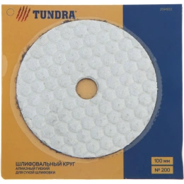 Круг алмазный гибкий шлифовальный Черепашка для сухой шлифовки (100 мм; №200) ТУНДРА 3594933