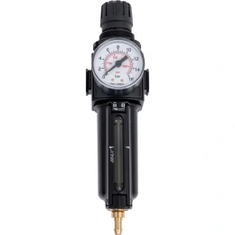 Воздушный фильтр SAMOA 1/4 BSP FF ATRF-1 240500