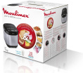 Хлебопечь Moulinex Pain & Delices OW240E30 650Вт серебристый/черный 7211002289