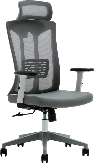 Кресло компьютерное EVOLUTION ErgoLine 4 Grey