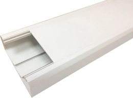 Короб Lanmaster LAN-CT120X50-WH 120x50мм белый 2м