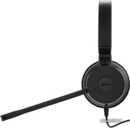 Гарнитура проводная Jabra EVOLVE 20 MS Stereo RTL / USB-A / {48} 016970 4999-823-109