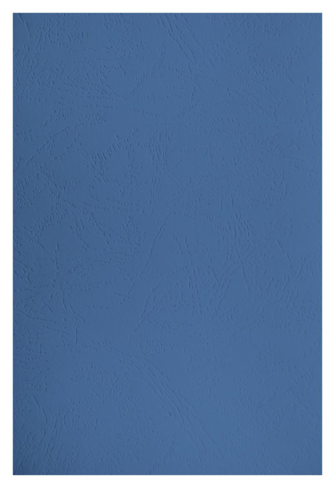 Обложка Silwerhof A4, 230г/м2, 100, синий